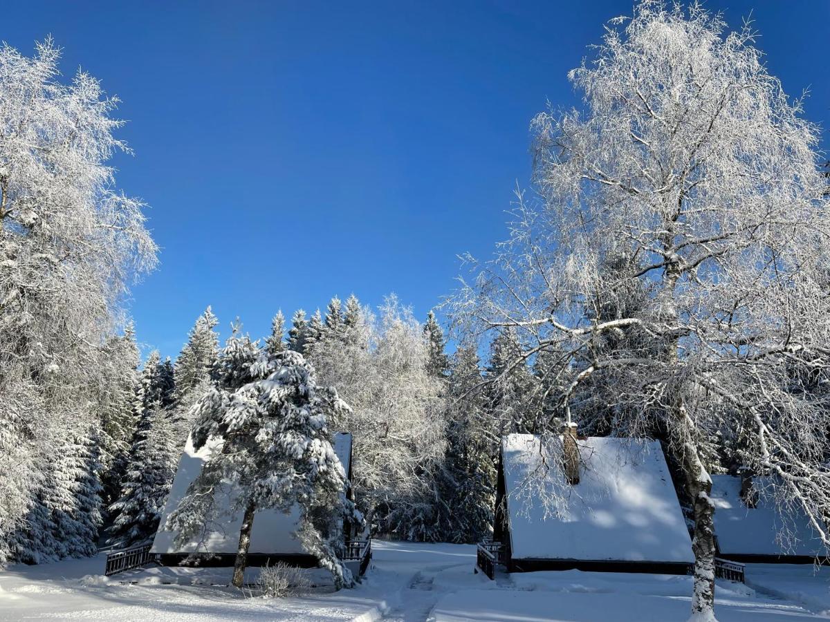 Hotel A Penzion Pegas Vlachovice Bagian luar foto