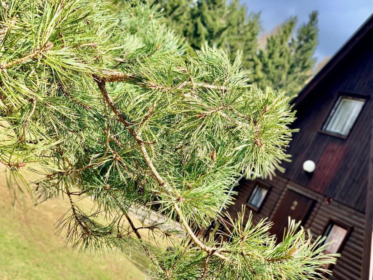 Hotel A Penzion Pegas Vlachovice Bagian luar foto